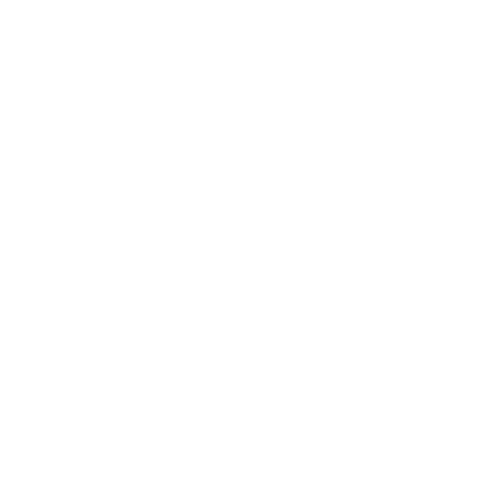 Nei Andreani logo – Aventura luxury waterfront real estate agent