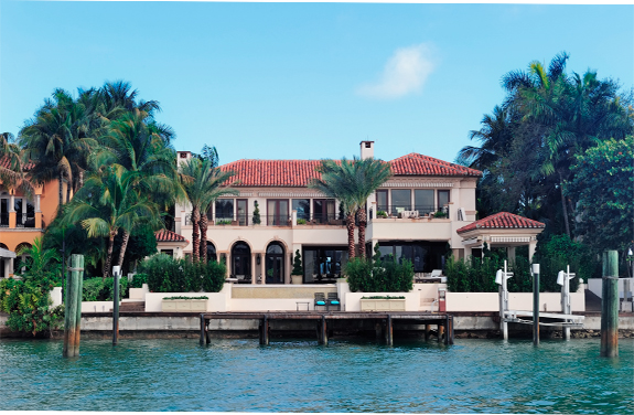 Palm and Hibiscus island